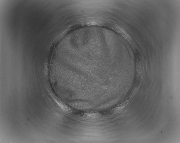 X0000073410401200608111330