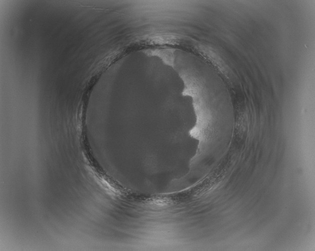 X0000073410402200608111330