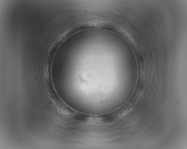 X0000073410403200608111330