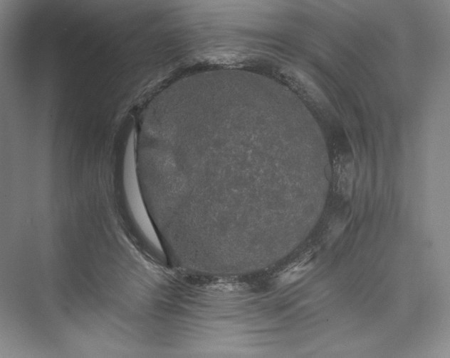 X0000073410404200608111330