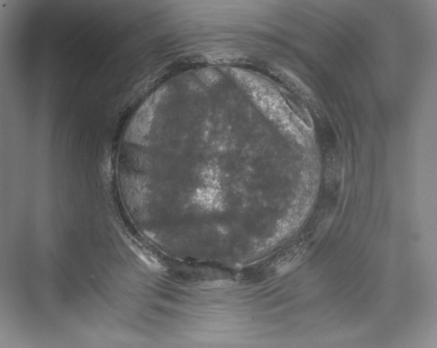 X0000073410405200608111330