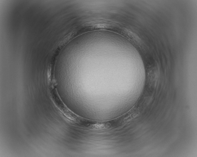 X0000073410406200608111330