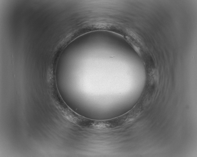 X0000073410407200608111330