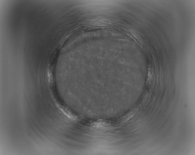 X0000073410408200608111330