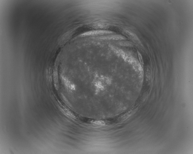 X0000073410409200608111330