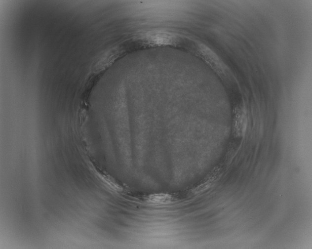 X0000073410410200608111330