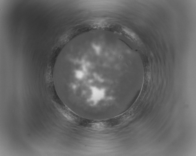 X0000073410411200608111330