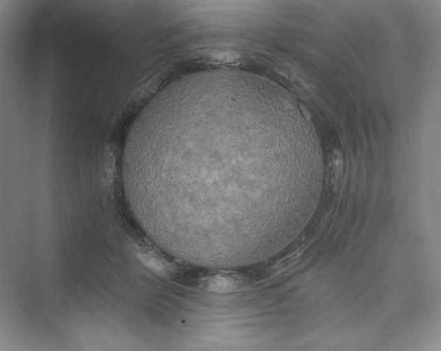 X0000073410412200608111330