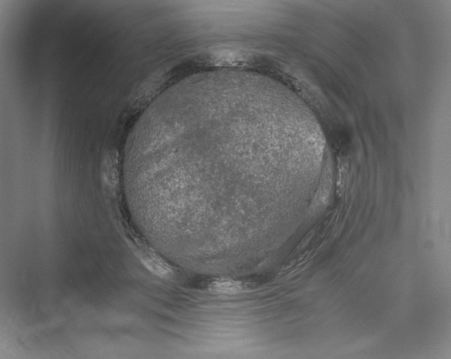 X0000073410413200608111330