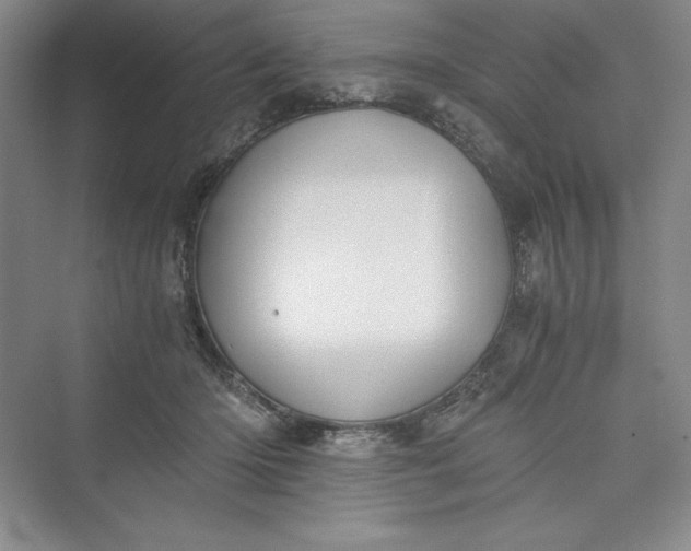 X0000073410414200608111330