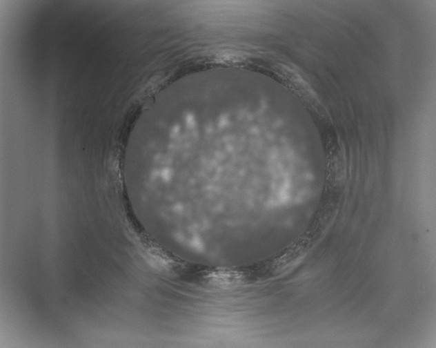 X0000073410415200608111330