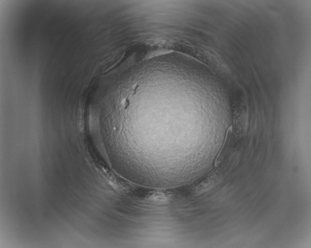 X0000073410416200608111330