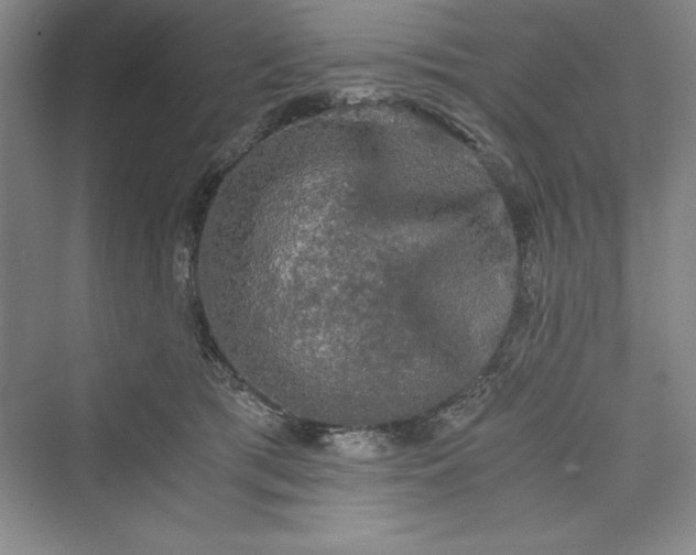 X0000073410417200608111330