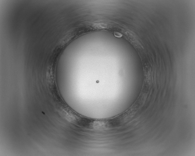 X0000073410418200608111330