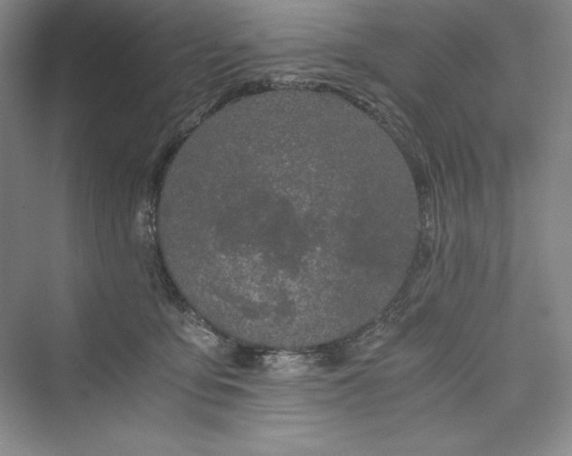 X0000073410419200608111330