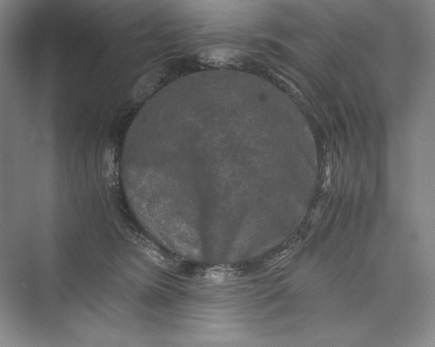 X0000073410420200608111330