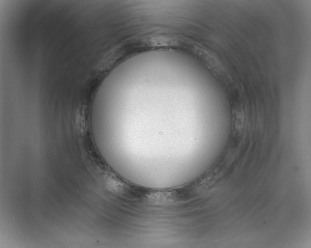 X0000073410422200608111330