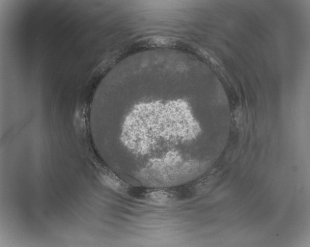 X0000073410423200608111330