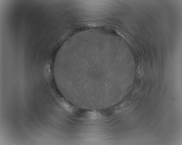 X0000073410424200608111330