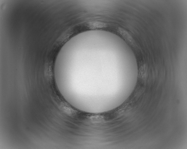 X0000073410426200608111330