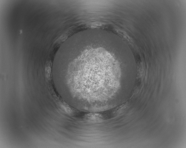 X0000073410427200608111330