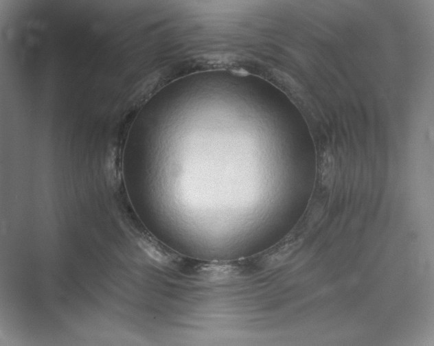 X0000073410428200608111330