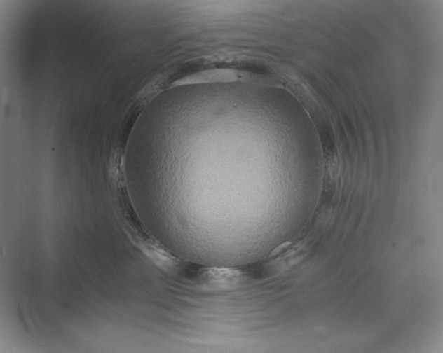 X0000073410429200608111330