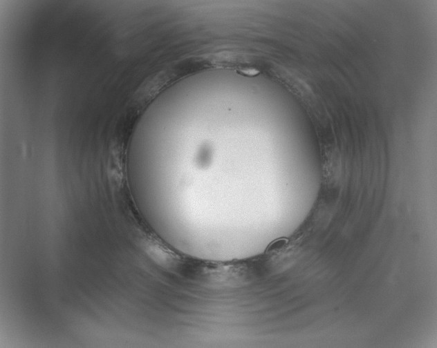 X0000073410430200608111330