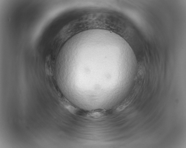 X0000073410431200608111330