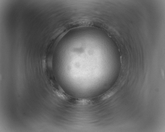 X0000073410432200608111330