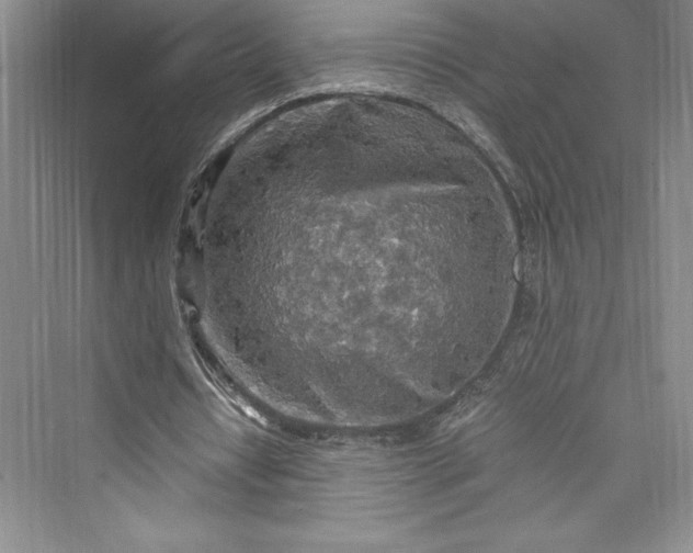 X0000073410434200608111329