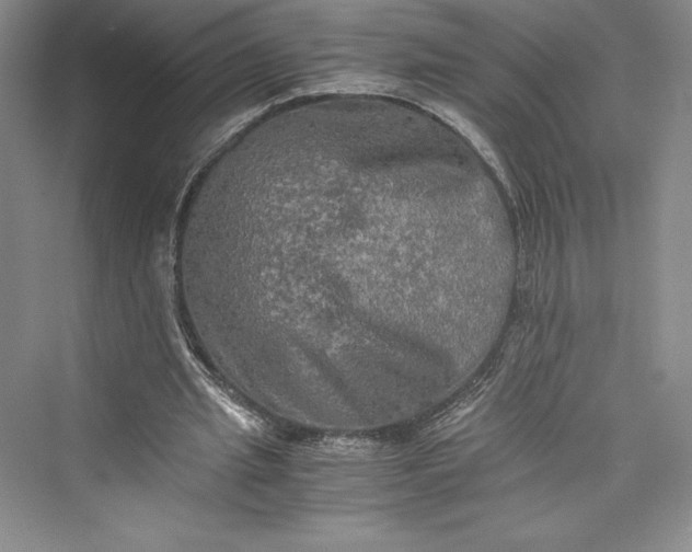 X0000073410437200608111329