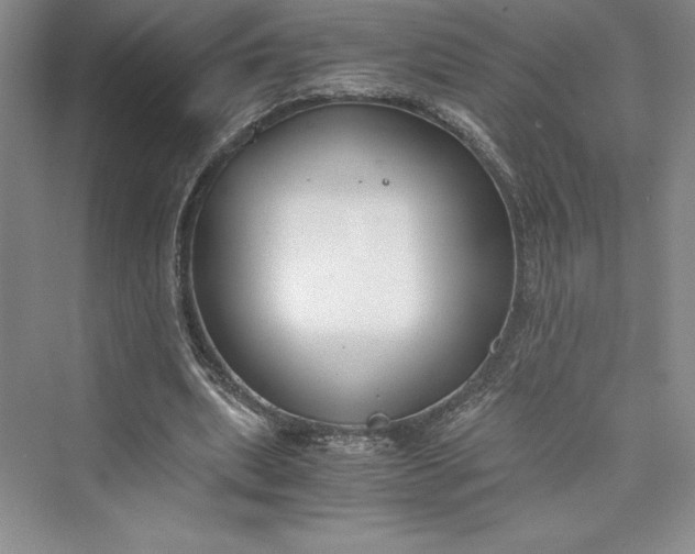 X0000073410439200608111329