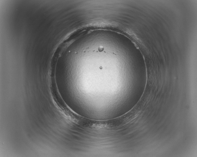 X0000073410440200608111329