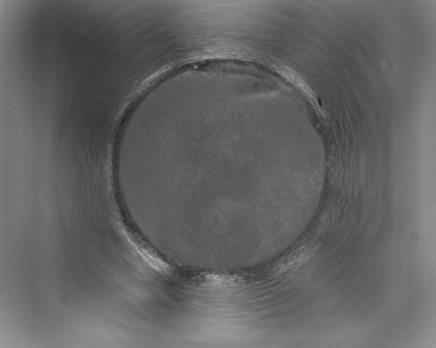 X0000073410442200608111329