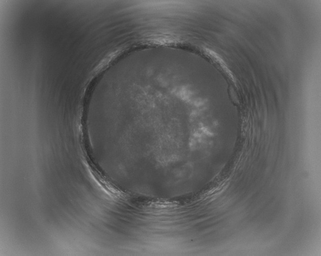 X0000073410443200608111329