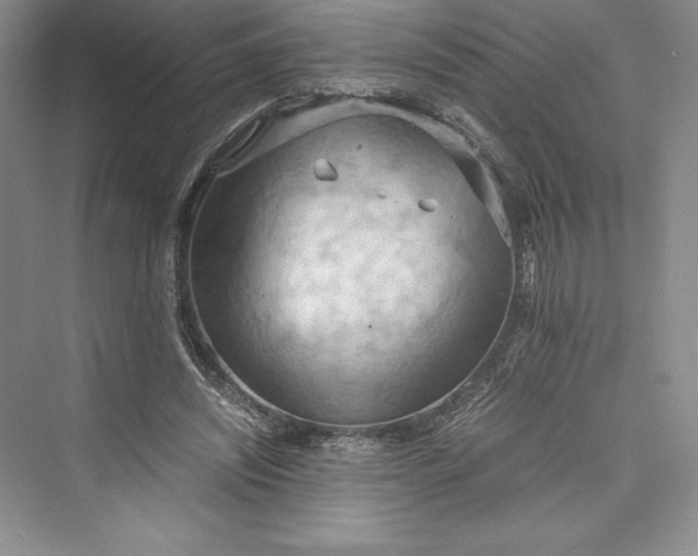 X0000073410444200608111329