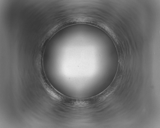 X0000073410445200608111329