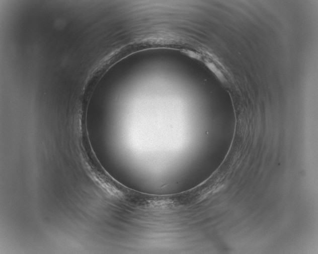 X0000073410446200608111329