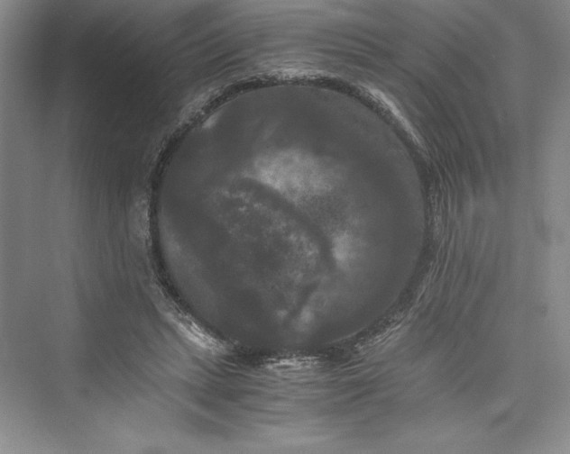 X0000073410447200608111329