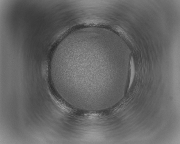 X0000073410448200608111329