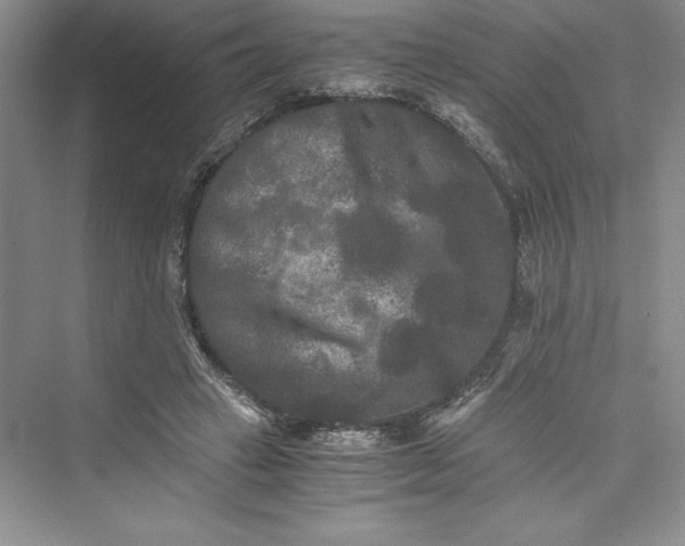 X0000073410449200608111329