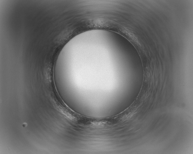 X0000073410450200608111329