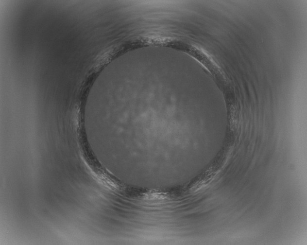 X0000073410451200608111329