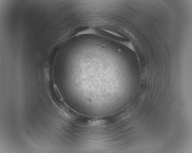 X0000073410452200608111329