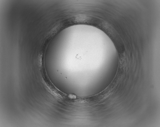 X0000073410454200608111329