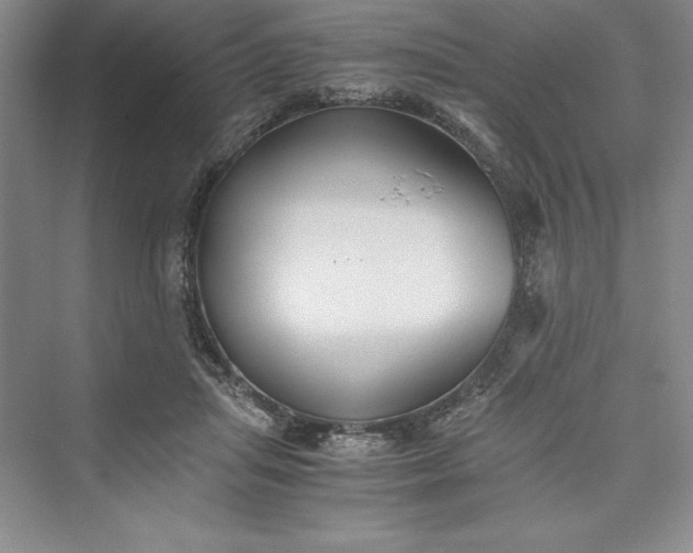 X0000073410455200608111329