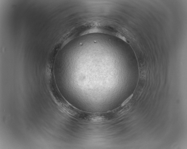 X0000073410456200608111329