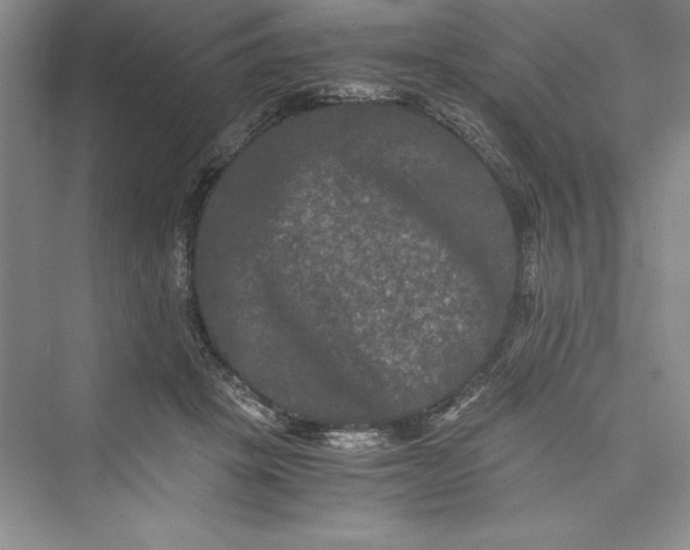 X0000073410457200608111329