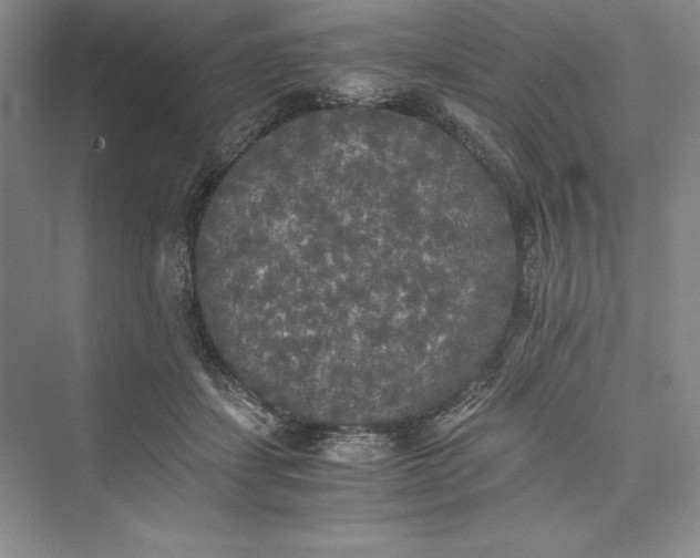 X0000073410459200608111329